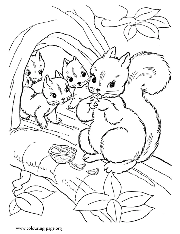 Desenhos de Esquilo Para Colorir 6
