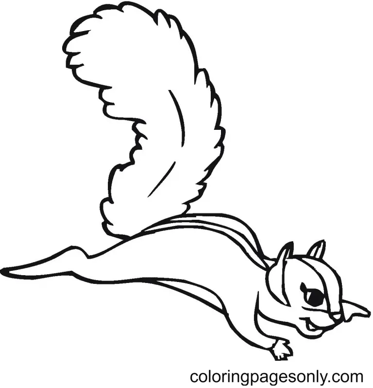Desenhos de Esquilo Para Colorir 95