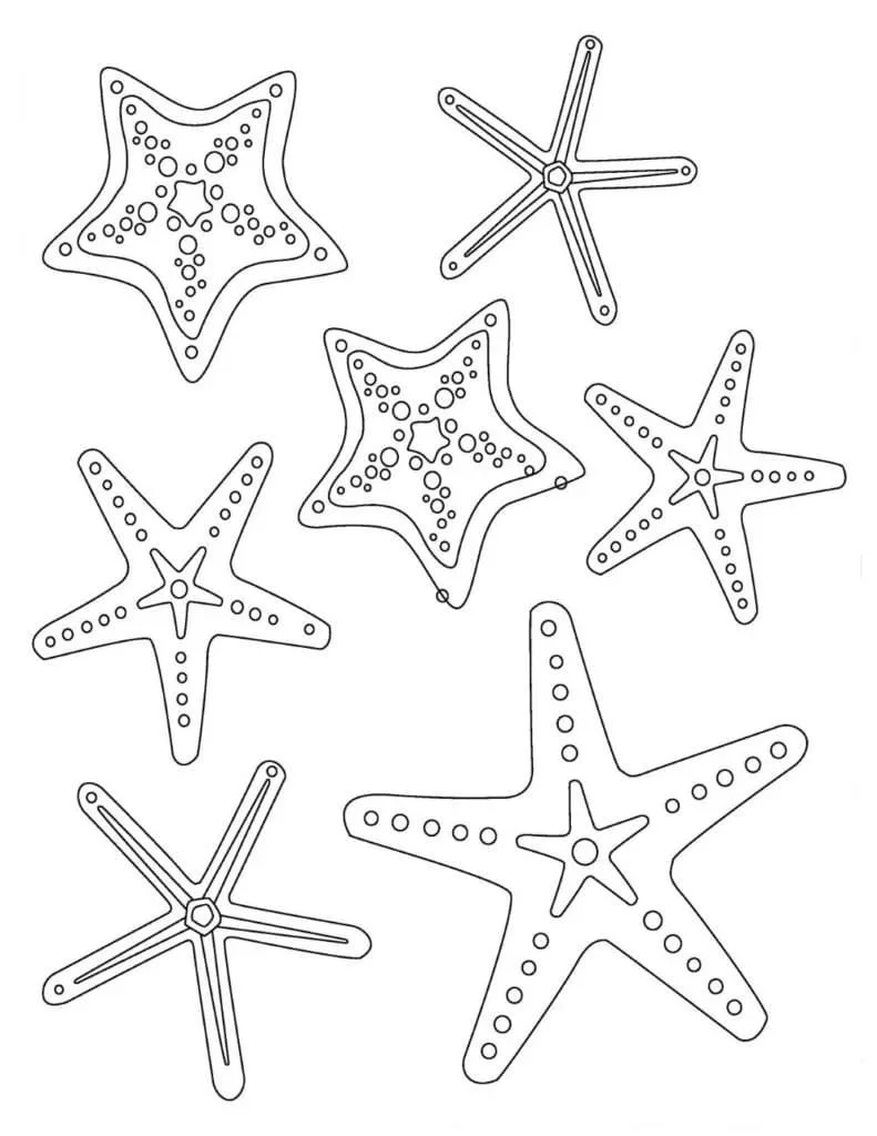 Starfish Coloring Pages 25