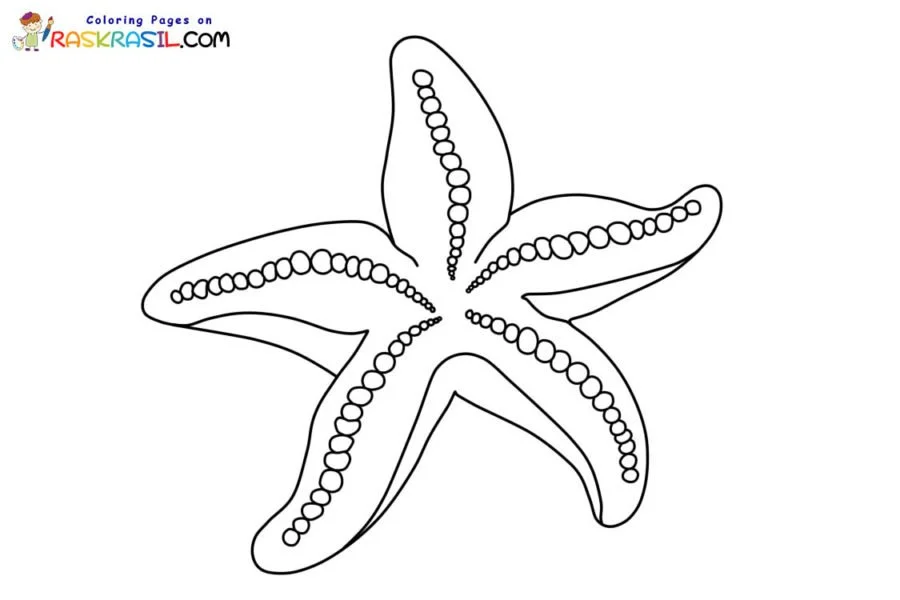 Starfish Coloring Pages 42