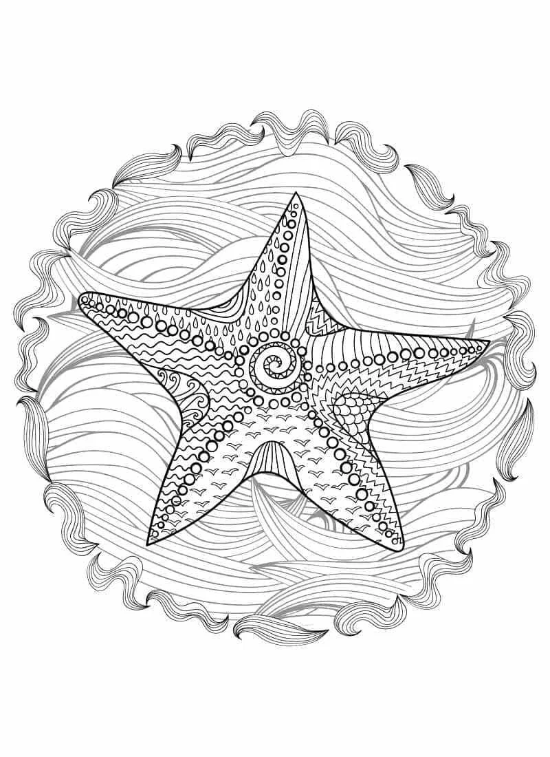 Starfish Coloring Pages 57