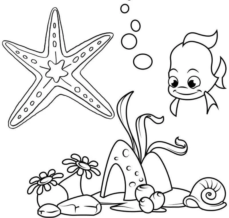 Starfish Coloring Pages 62