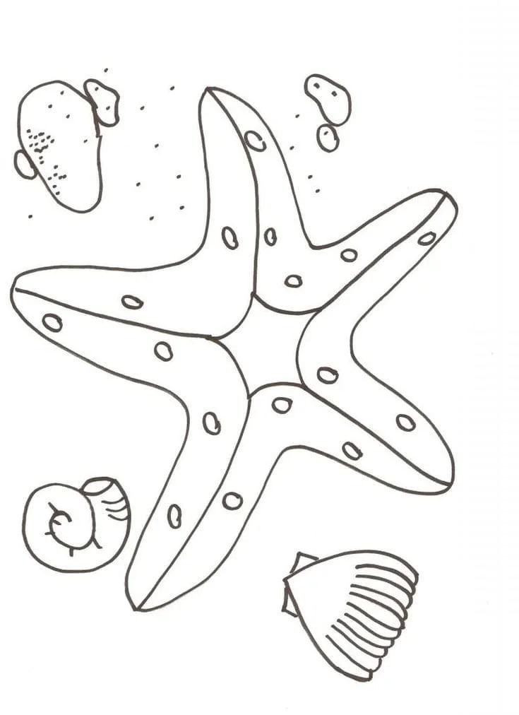 Starfish Coloring Pages 66