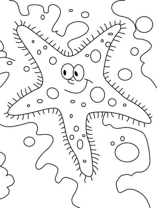 Starfish Coloring Pages 67