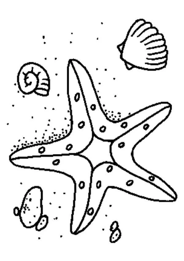 Starfish Coloring Pages 70
