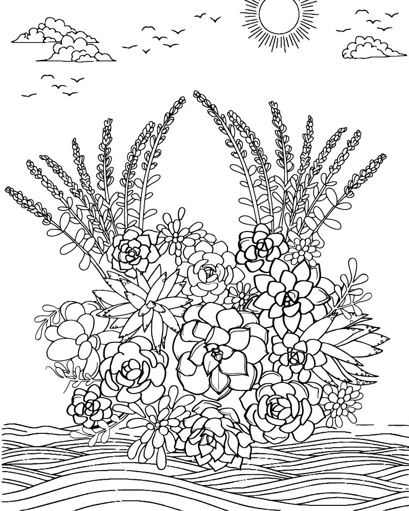 Suculentas Paginas para Colorir 11