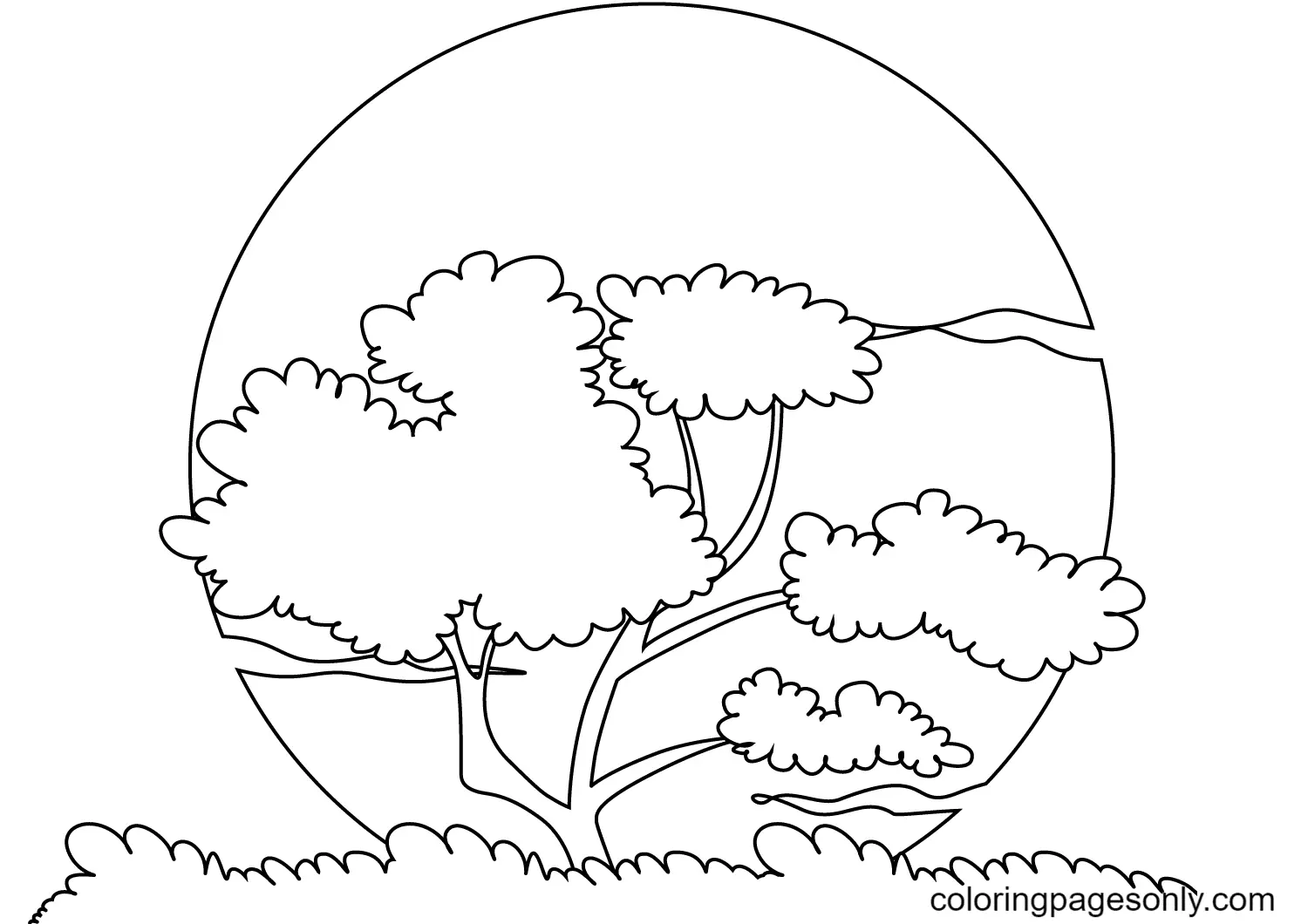 Sun Coloring Pages 19