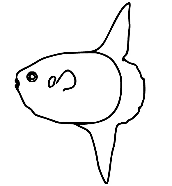Sunfish Coloring Pages 15