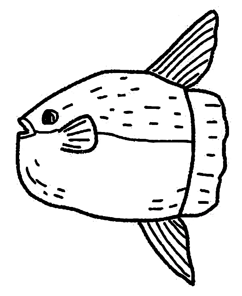 Sunfish Coloring Pages 9