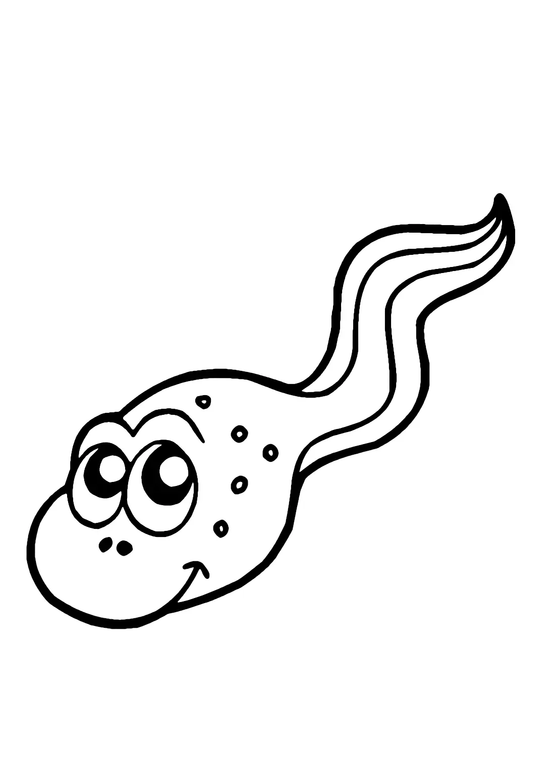 Kaulquappen Ausmalbilder 12