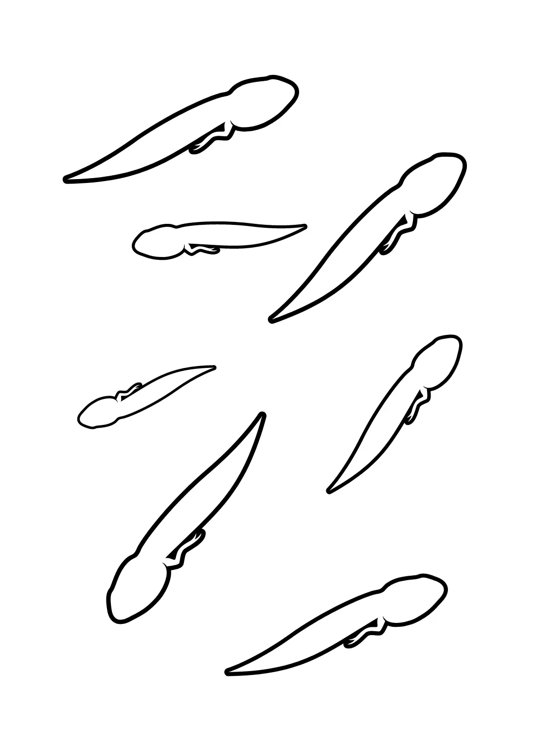 Kaulquappen Ausmalbilder 7