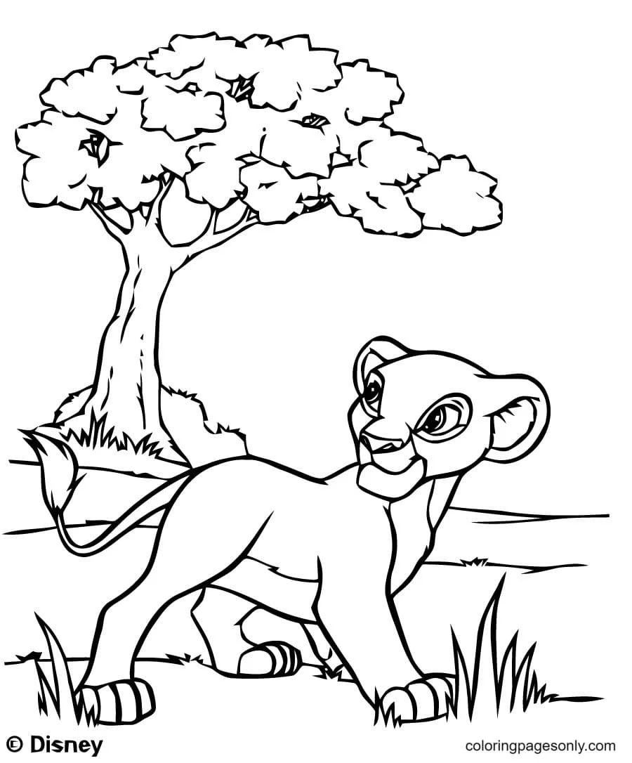 Desenhos do Rei Leao para colorir 23