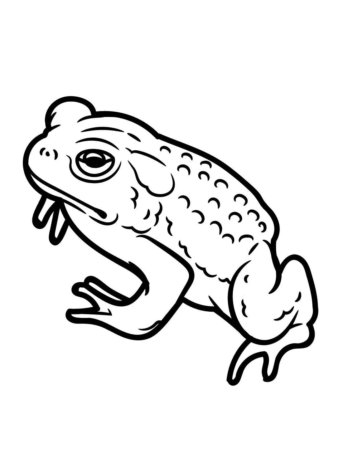Desenhos de Toad Para Colorir 19