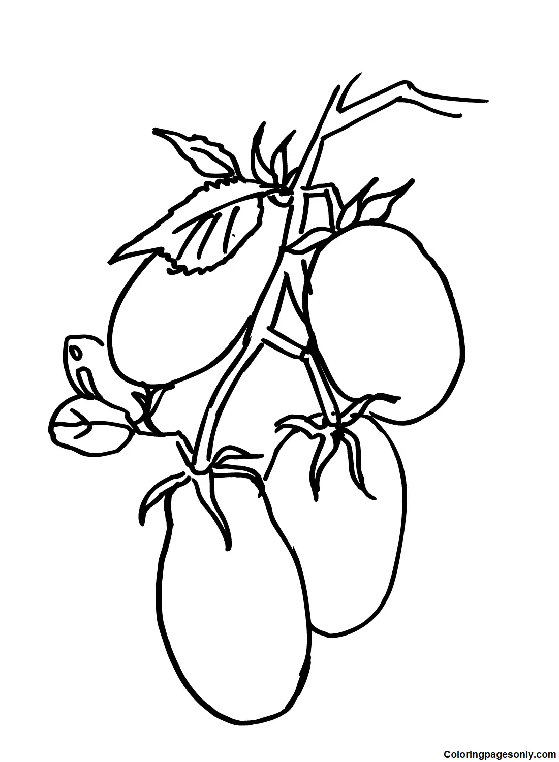 Tomaten Ausmalbilder