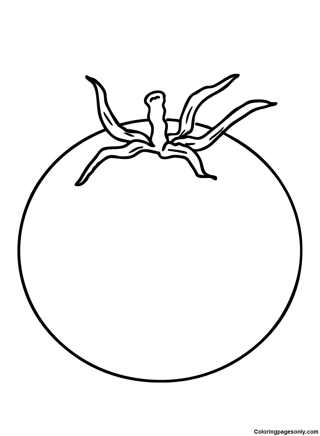 Desenhos de Tomate Para Colorir 9