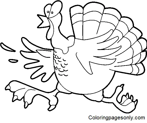 Desenhos de Turkey Para Colorir 43