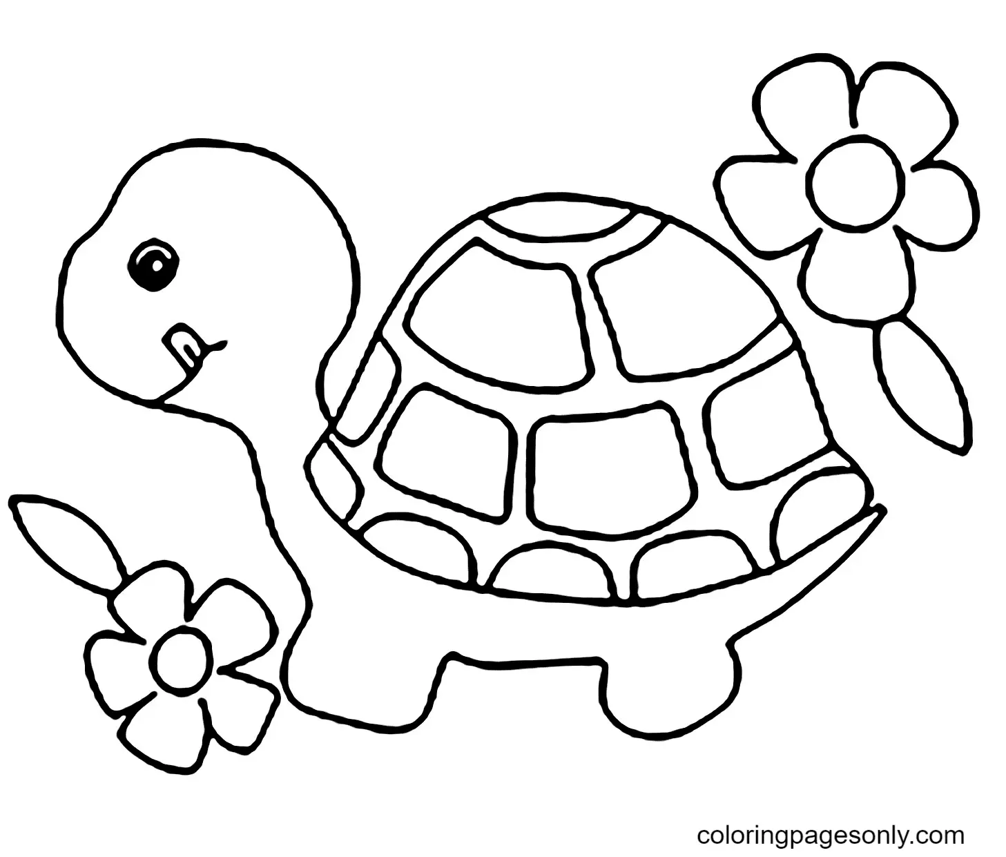 Desenhos de Turtle Para Colorir 12