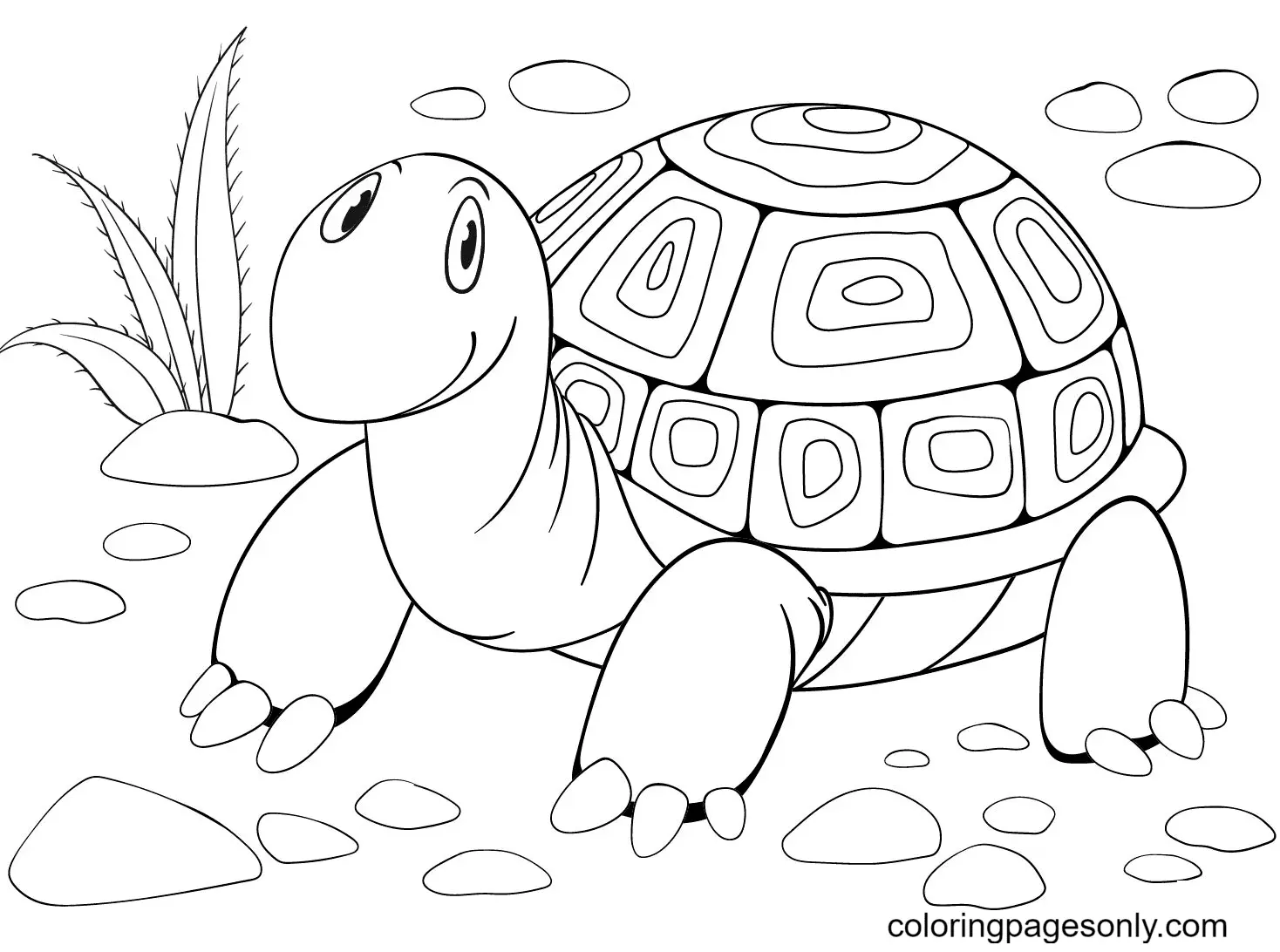 Desenhos de Turtle Para Colorir 15