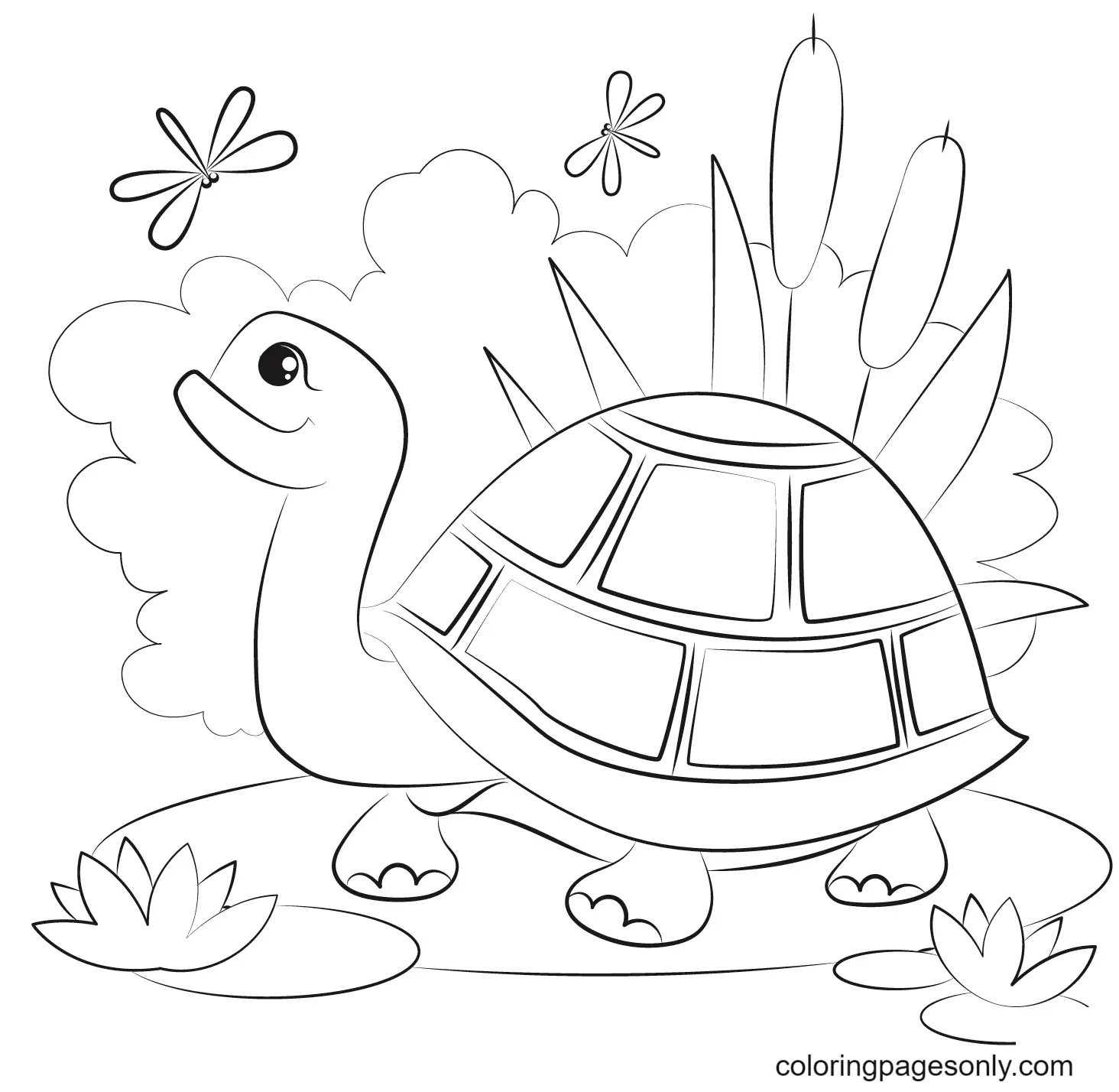Desenhos de Turtle Para Colorir 47