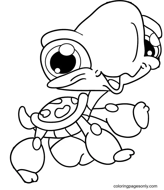 Desenhos de Turtle Para Colorir