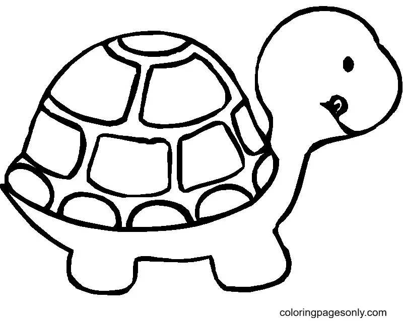 Desenhos de Turtle Para Colorir 9