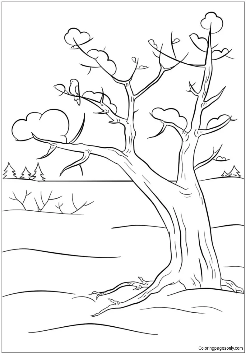 Winter Sports Coloring Pages 57