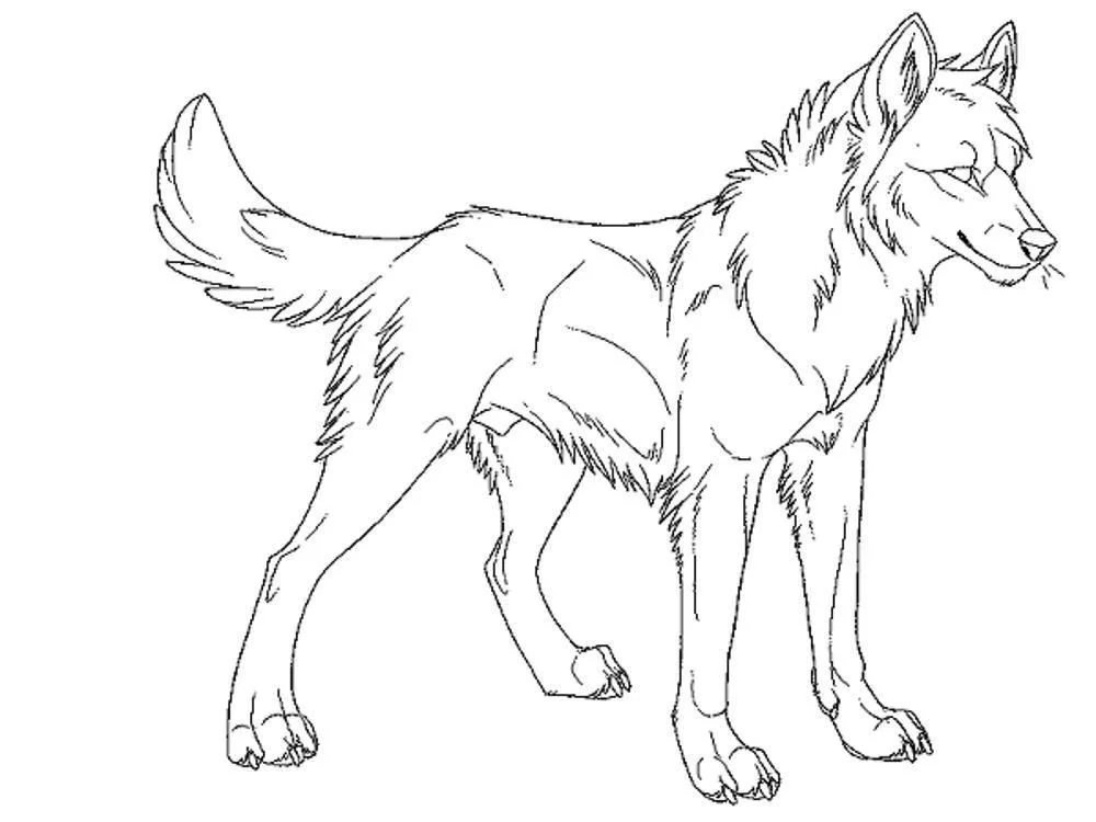Wolf Coloring Pages 20