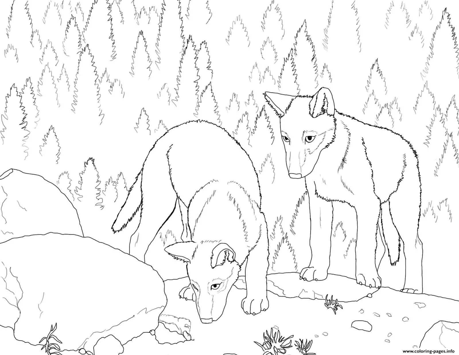 Lobo Para Colorear 24