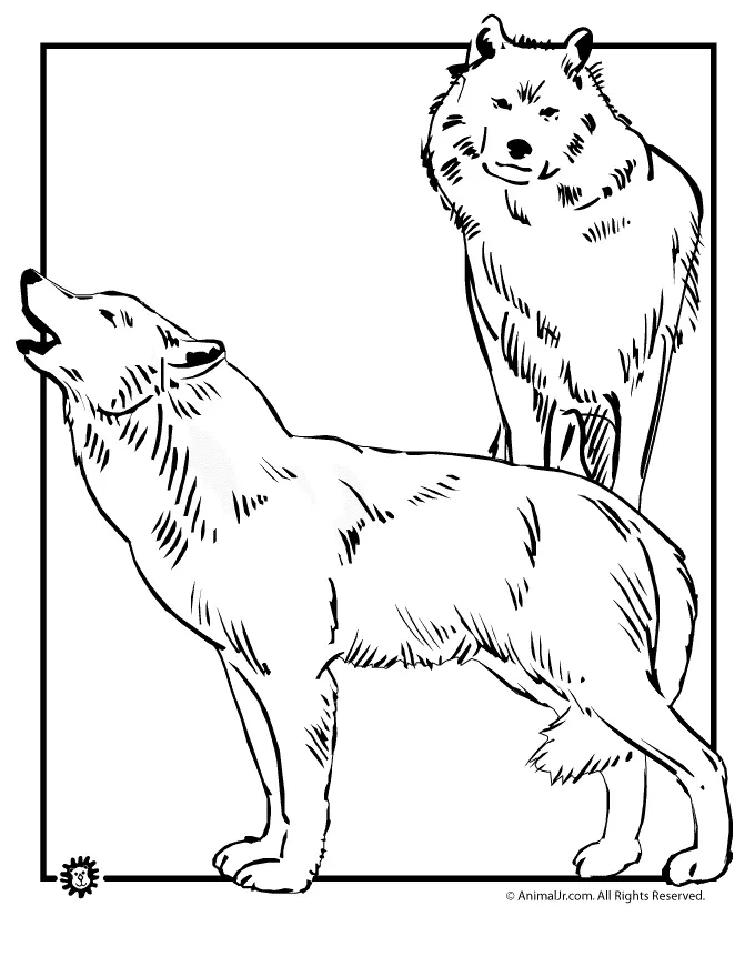 Wolf Coloring Pages 32