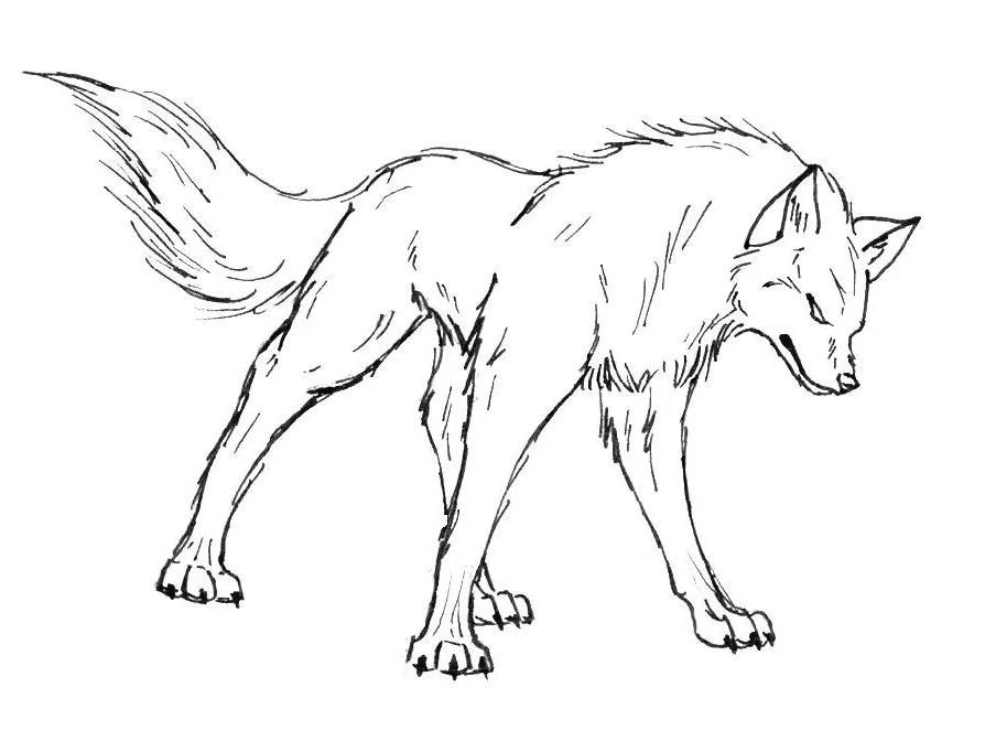 Wolf Ausmalbilder 71
