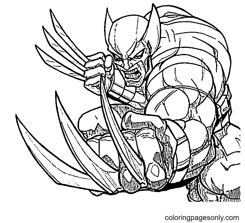 Desenhos de Wolverine Para Colorir 1