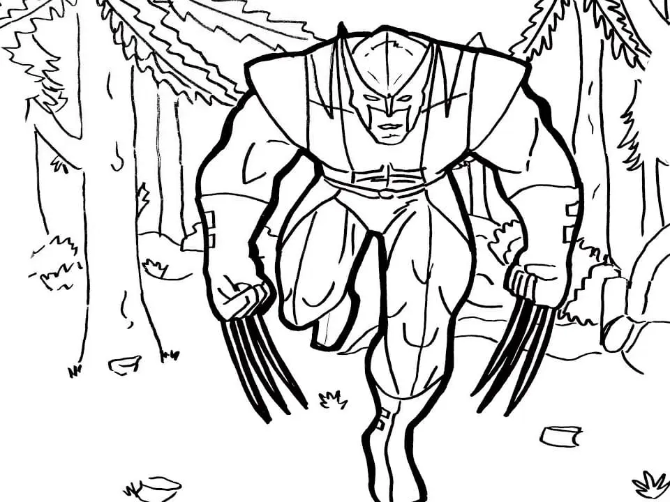 Desenhos de Wolverine Para Colorir 74