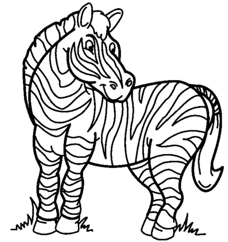 Desenhos de Zebra Para Colorir 2