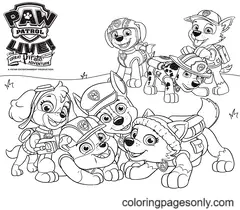 Zuma Paw Patrol Ausmalbilder 1